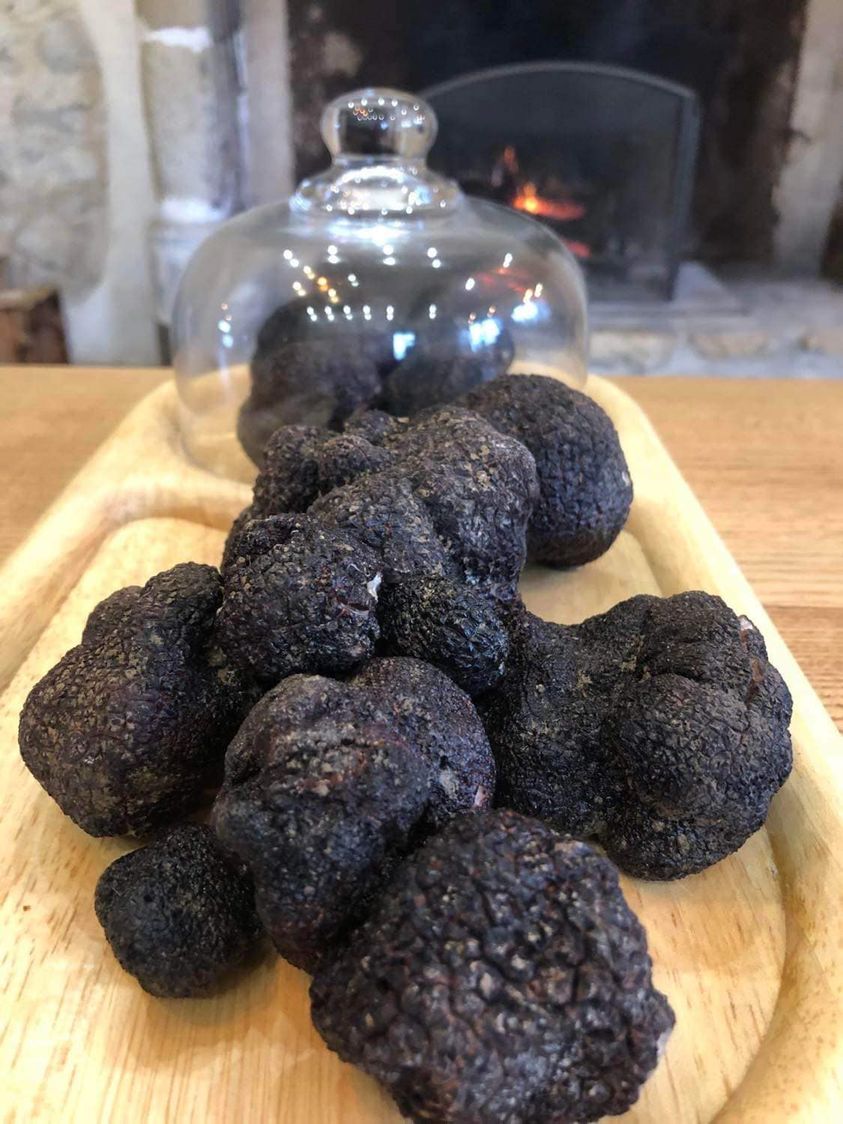 First Truffles 2022 French Truffle Tree