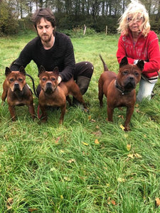 Truffle Hunting Dogs