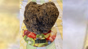 Huge Truffle